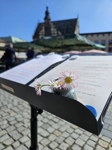 Ein winziges Väschen mit etwa fünf Gänseblümchen liegt auf einem Notenpult mit dem Text für die Wagenkirche. Dieses steht am Markplatz im Freien. Im Hintergrund ist das Schweinfurter Rathaus zu erkennen.