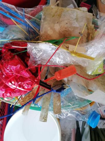 gesammelter Plastikabfall