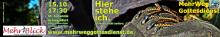 "Hier stehe ich": Plakat mit Schuh.